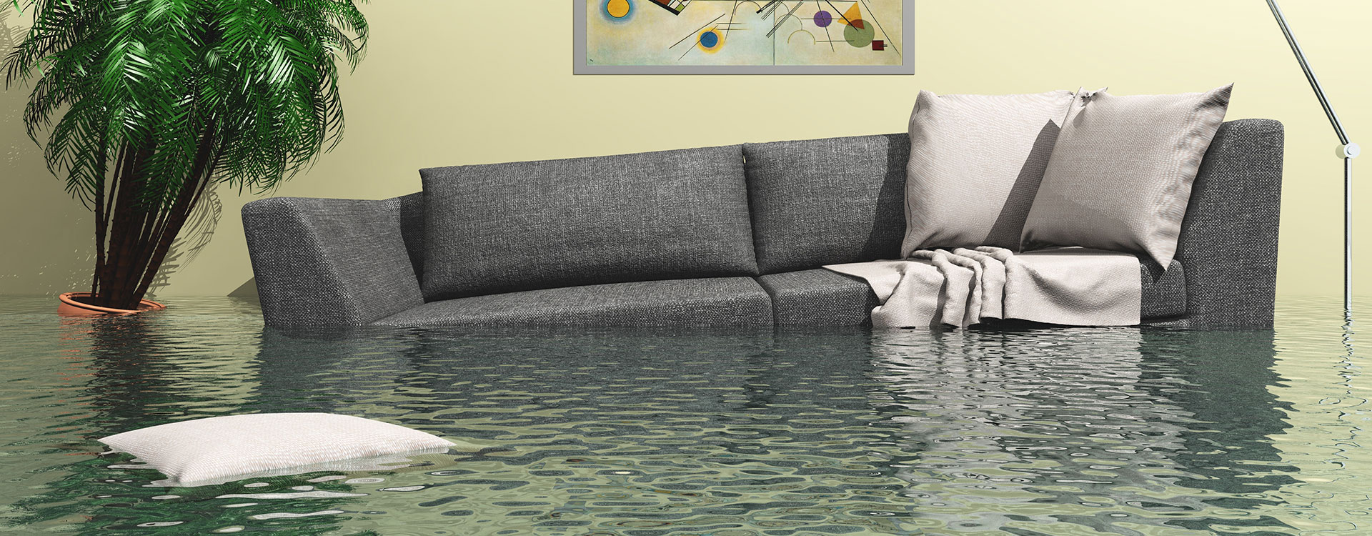 Water Damage Extraction Encino