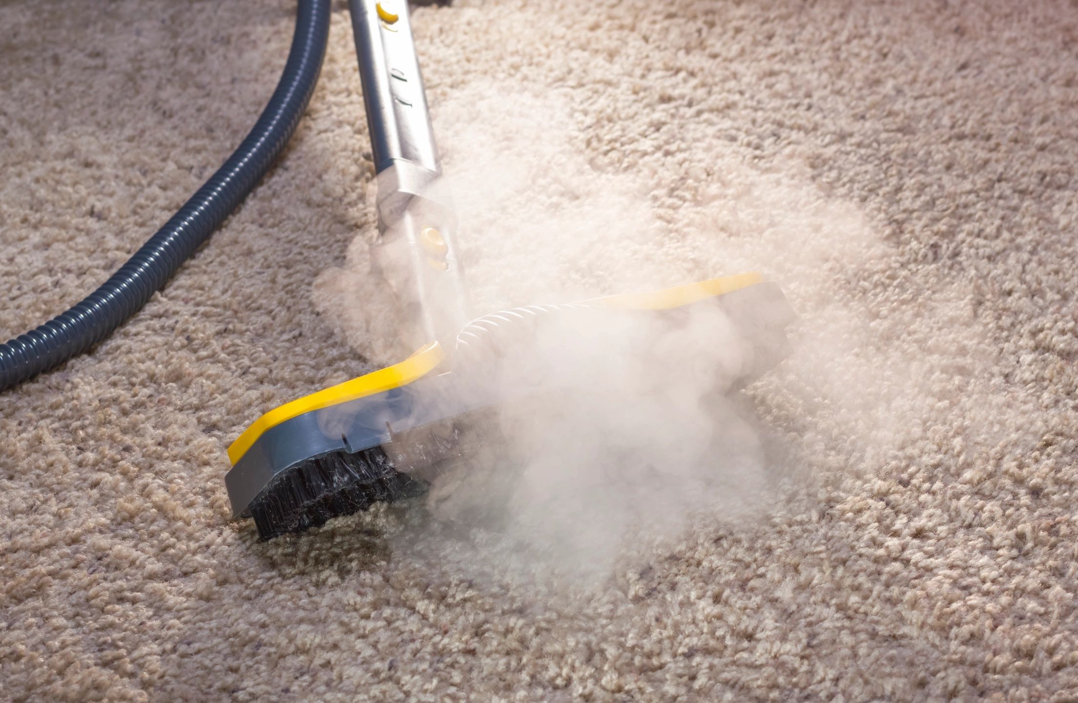 At Zest Carpet Cleaning, we understand the importance of maintaining a clean and healthy home or office environment.
