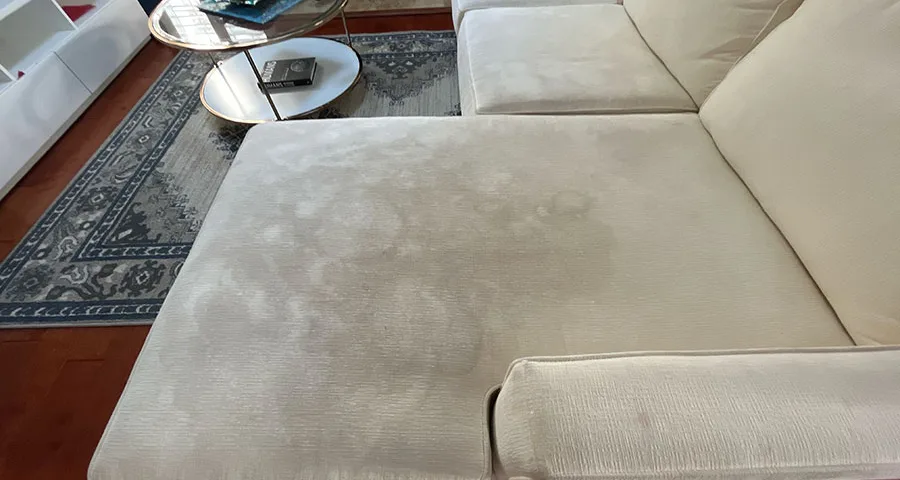 Professional Sofa Cleaning - Revitalize Your Upholstery