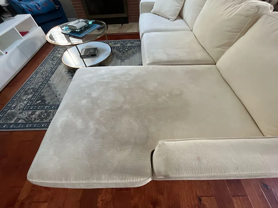 Professional Sofa Cleaning - Revitalize Your Upholstery