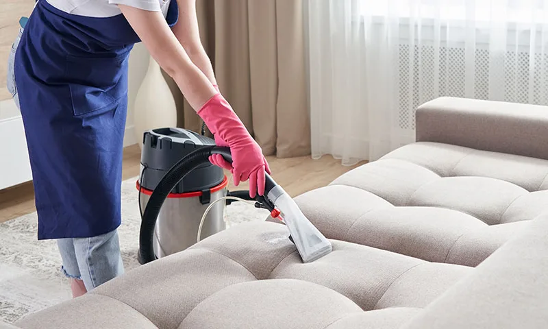 Spot Removal and Odor Treatment - Effective Solutions for Fresh and Clean Upholstery