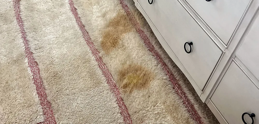 Step-by-Step Rug Restoration Process