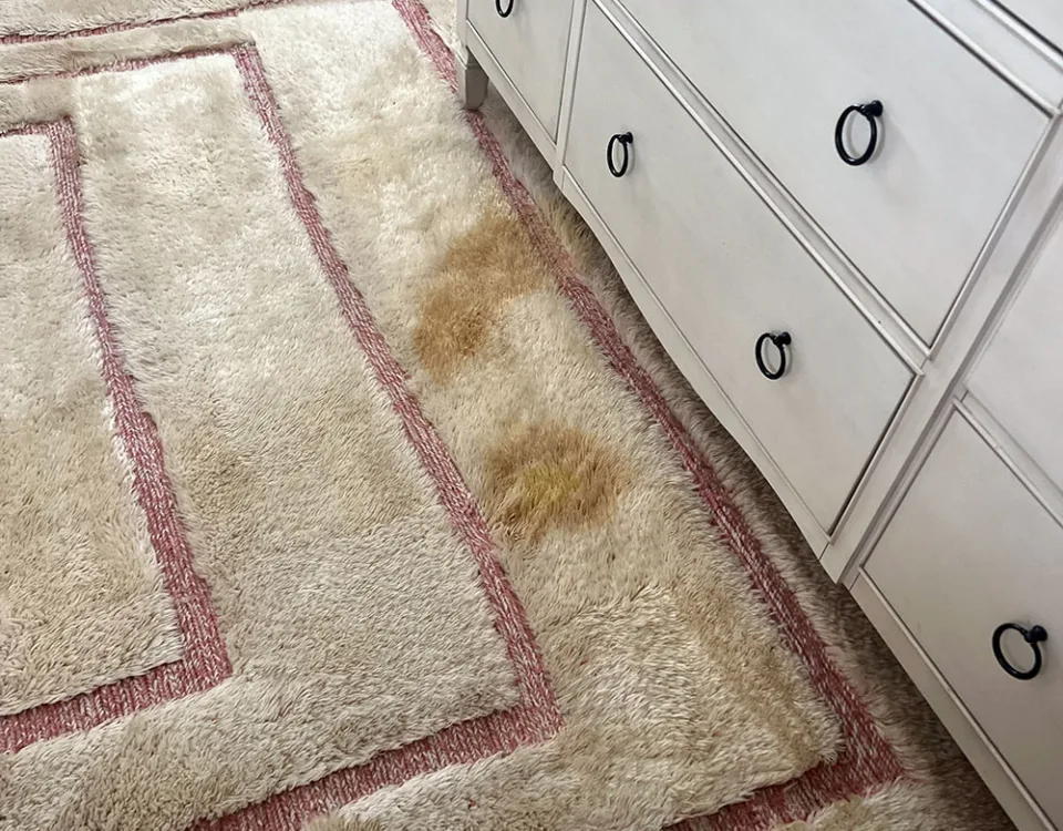 Step-by-Step Rug Restoration Process