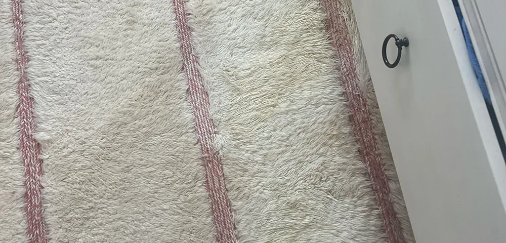 Before and After Comparison of a Cleaned Carpet