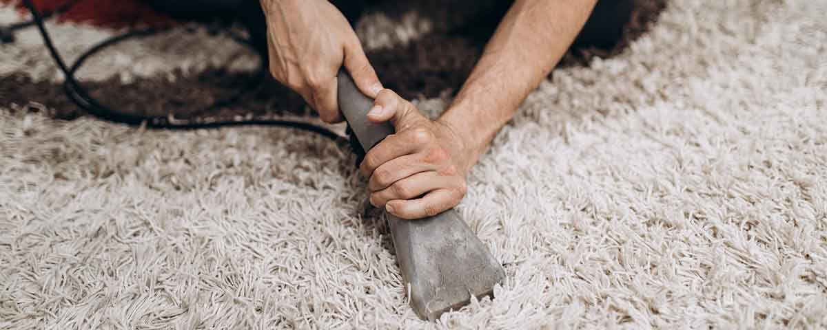 Zest Carpet Cleaning: Rug Cleaning Services in Glendale, CA
