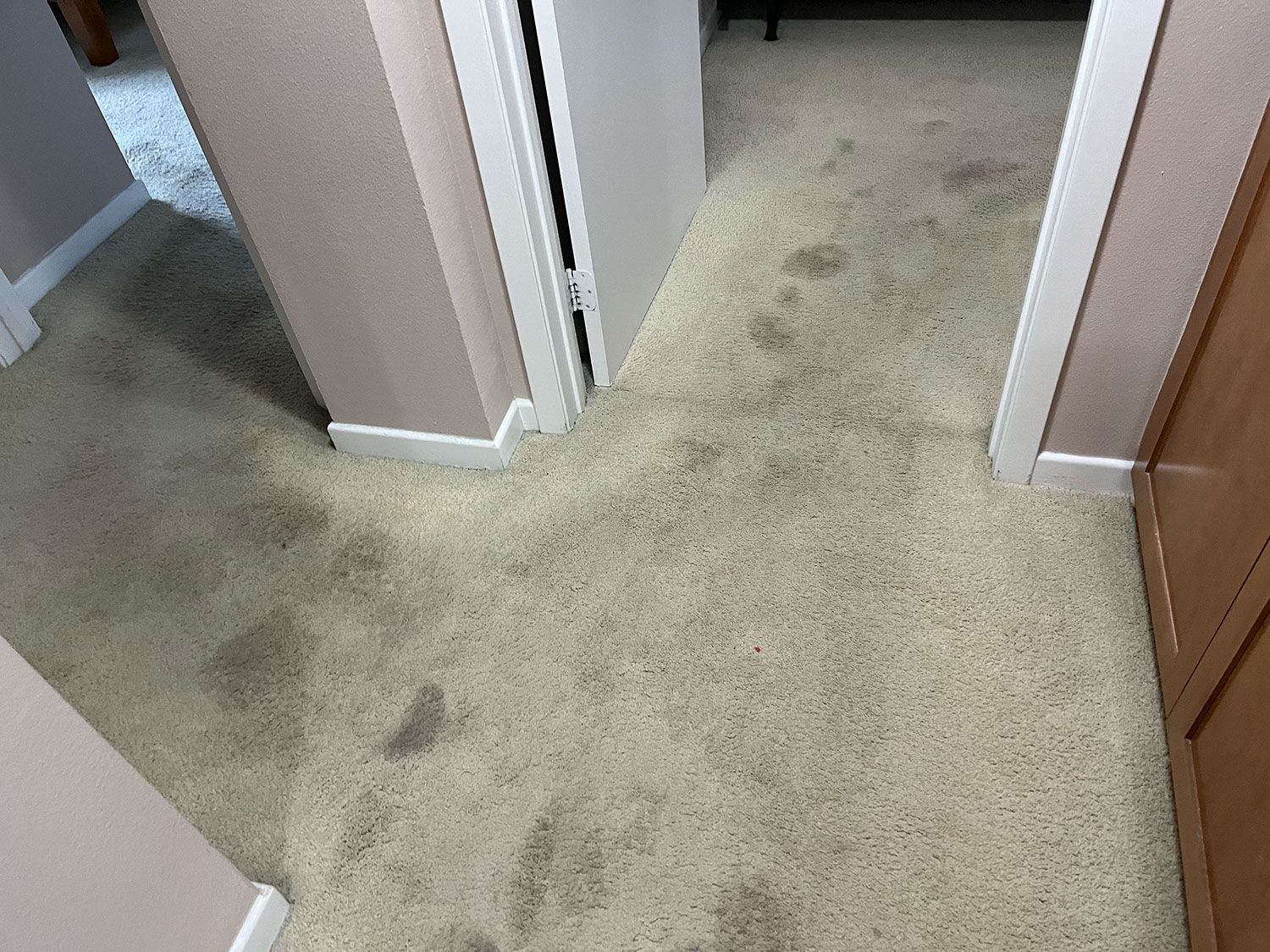 Carpet Cleaning Service Pasadena CA